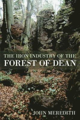 The Iron Industry of the Forest of Dean 1