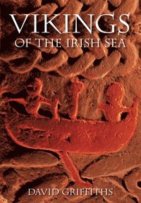 bokomslag Vikings of the Irish Sea