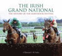 bokomslag The Irish Grand National