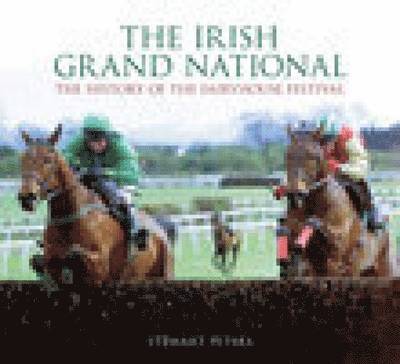 The Irish Grand National 1