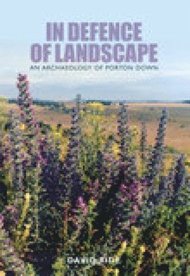 bokomslag In Defence of Landscape