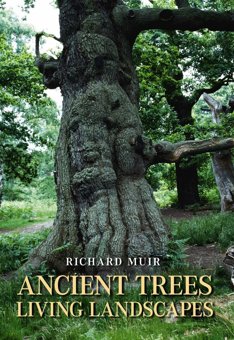 Ancient Trees, Living Landscapes
