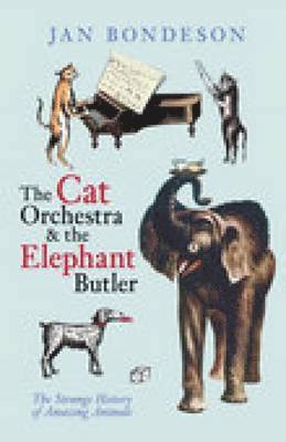 bokomslag Cat Orchestra and the Elephant Butler