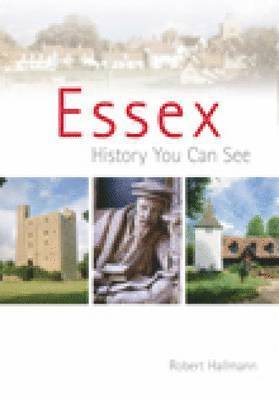 bokomslag Essex: A History You Can See