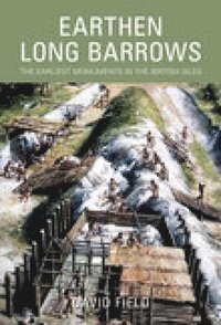 bokomslag Earthen Long Barrows