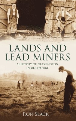 Lands and Lead Miners 1