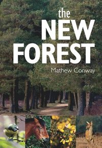 bokomslag The New Forest