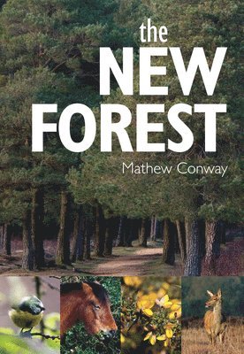 Matthew Conway, Mathew Conway - New Forest, Häftad