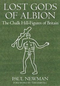 bokomslag Lost Gods of Albion