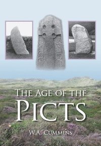 bokomslag The Age of the Picts