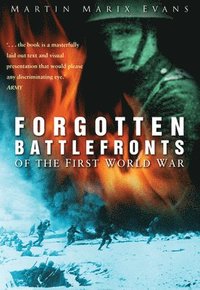 bokomslag Forgotten Battlefronts of the First World War