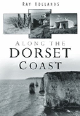 bokomslag Along the Dorset Coast