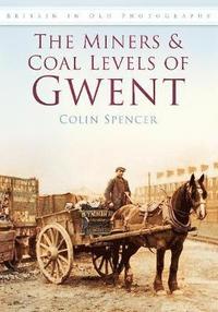 bokomslag The Miners and Coal Levels of Gwent