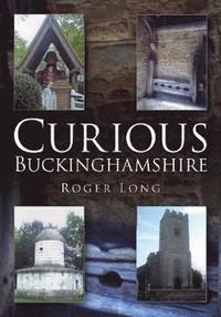 bokomslag Curious Buckinghamshire