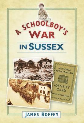 bokomslag A Schoolboy's War in Sussex