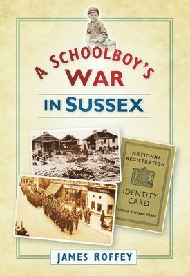 James Roffey - Schoolboy's War in Sussex, Häftad