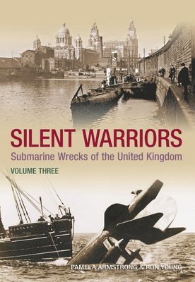 bokomslag Silent Warriors Volume Three