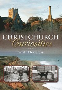bokomslag Christchurch Curiosities