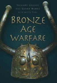 bokomslag Bronze Age Warfare