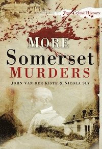 bokomslag More Somerset Murders