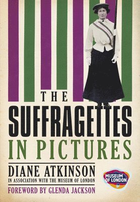 bokomslag The Suffragettes In Pictures