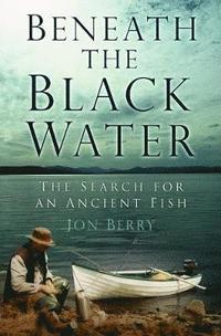 bokomslag Beneath the Black Water