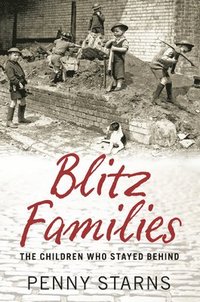 bokomslag Blitz Families