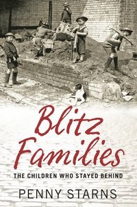 bokomslag Blitz Families