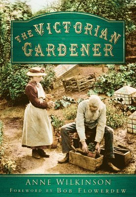 Anne Wilkinson - Victorian Gardener, Häftad