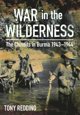 bokomslag War in the Wilderness