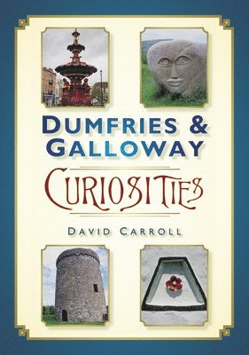 bokomslag Dumfries and Galloway Curiosities