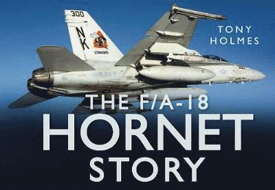 The F/A18 Hornet Story 1