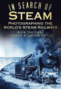 bokomslag In Search of Steam