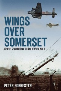 bokomslag Wings Over Somerset