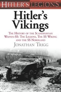bokomslag Hitler's Vikings