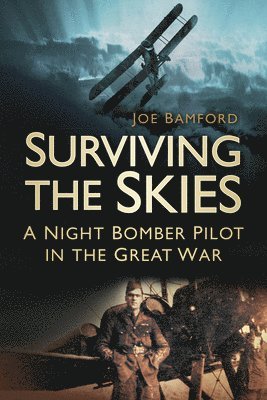 Surviving the Skies 1