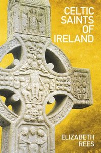 bokomslag Celtic Saints of Ireland