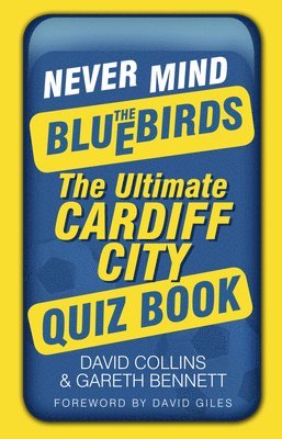 Never Mind the Bluebirds 1