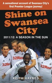 bokomslag Shine On Swansea City