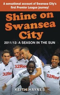 bokomslag Shine On Swansea City