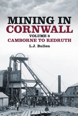 bokomslag Mining in Cornwall Vol 8