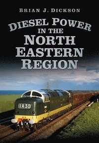 bokomslag Diesel Power in the North Eastern Region