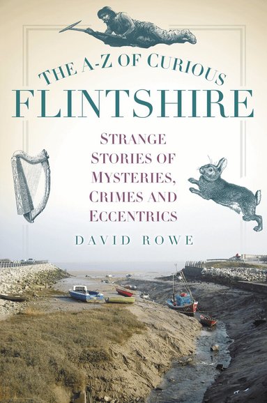 David Rowe - A-Z of Curious Flintshire, Häftad