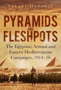 bokomslag Pyramids and Fleshpots