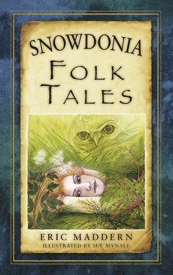 bokomslag Snowdonia Folk Tales