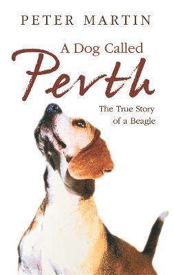 Dog called Perth 1