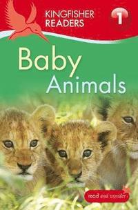 bokomslag Kingfisher Readers: Baby Animals (Level 1: Beginning to Read)
