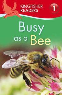 bokomslag Kingfisher Readers: Busy as a Bee (Level 1: Beginning to Read)