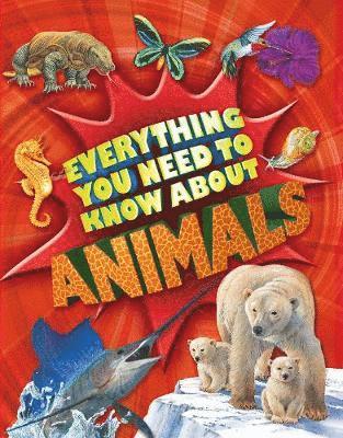 Everything You Need To Know: Animals 1