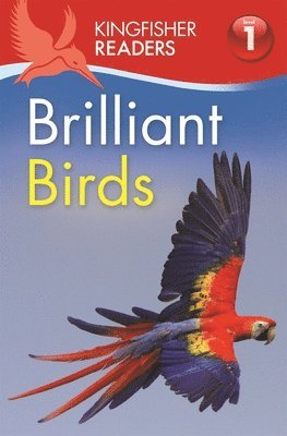 bokomslag Kingfisher Readers: Brilliant Birds (Level 1: Beginning to Read)